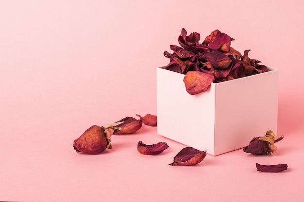 A box with dried rose petals on a pink surface. The herbarium of roses.