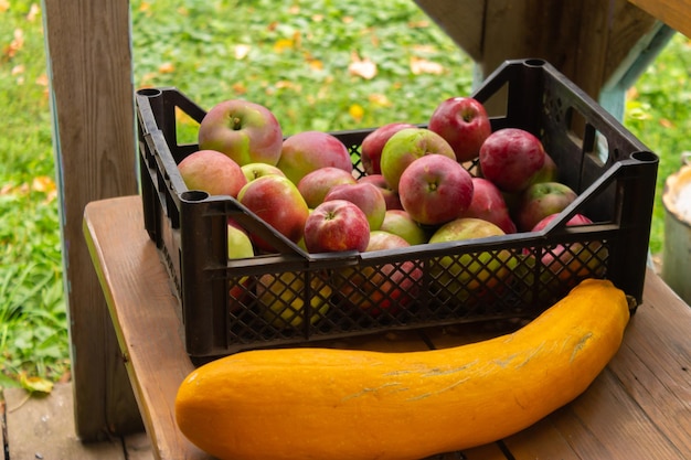 Box with ripe apples with empty space on wooden background