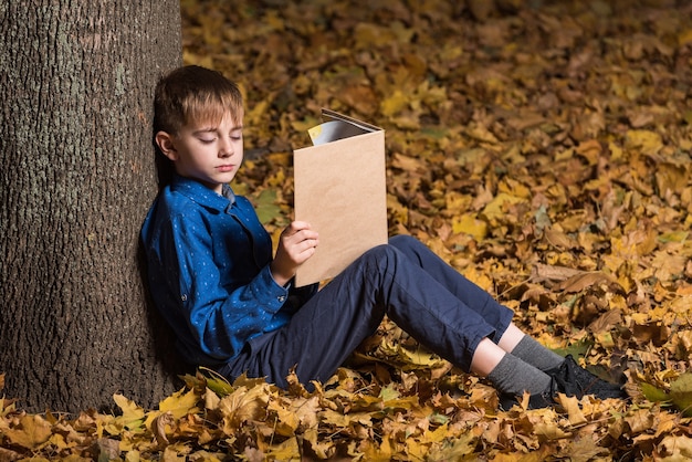 Boy in autumn forest with book. Child fell asleep in woods with book in hand.