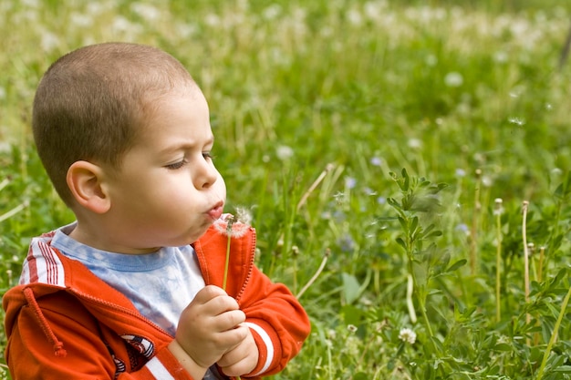 Boy blowing dandelion