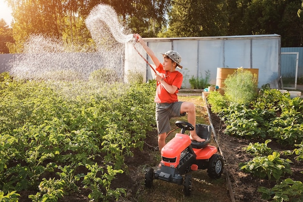 Boy child jumping splashing hose water in the backyard in the garden in summer at sunset in the suns