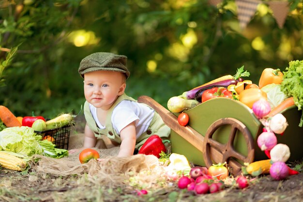 Boy cooks a vegetable salad in nature. Gardener collects a crop of vegetables. Delivery of products