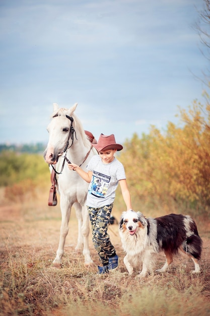 A boy in a cowboy hat walks across the field and leads a horse and a herding dog. Life on a farm, communication of a child with animals