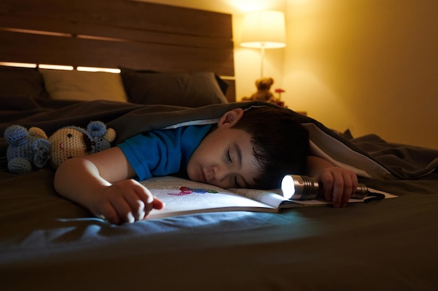 Boy Fell Asleep when Reading