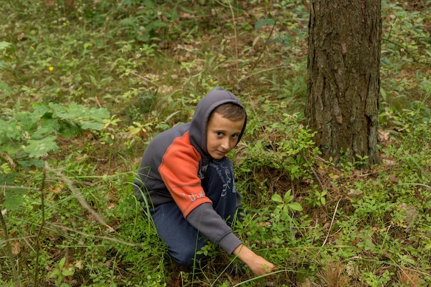 A boy in a forest picking plants