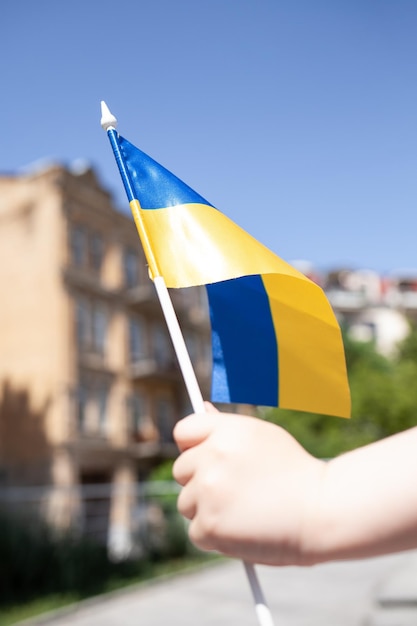 boy holding Ukrainian flag in hand.