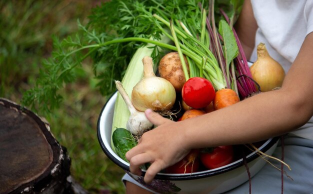 The boy is holding a bowl of freshly picked vegetables from the farm Organic products