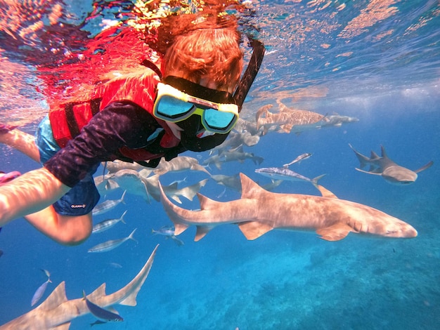 The boy is snorkeling with sharks Underwater photography