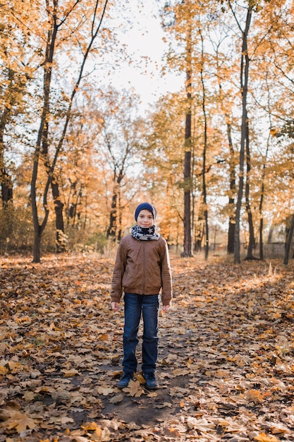 Boy in a jacket in autumn in orange leaves in the park