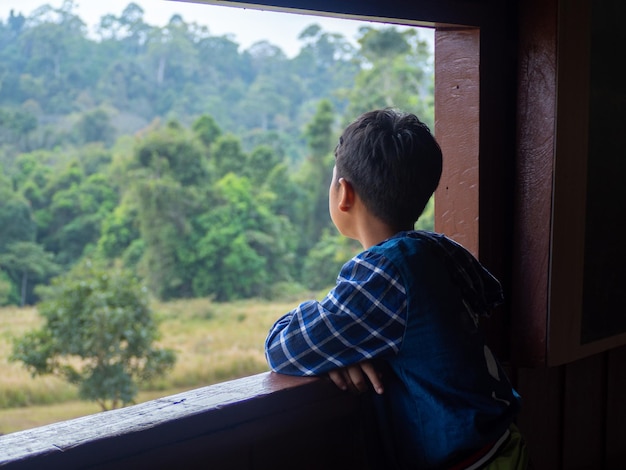 Boy looking out window looking at the green forest