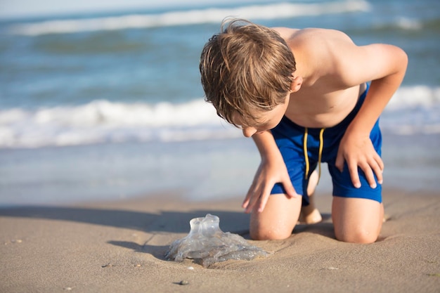 A boy near the sea examines a jellyfish Child resting on the beach