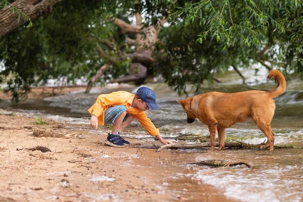 A boy in an orange shirt plays with a red dog on the seashore