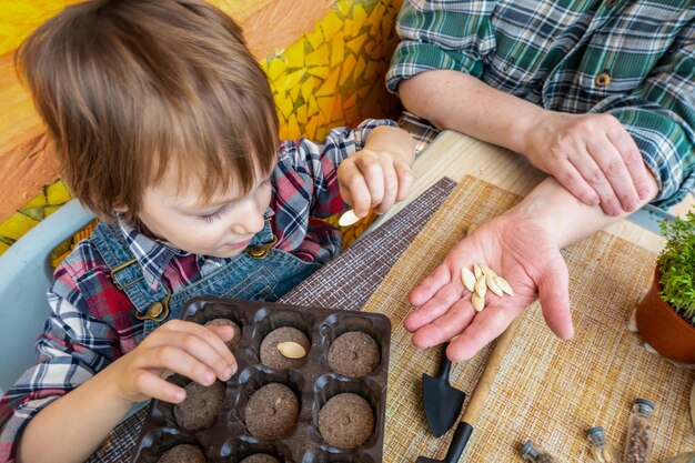 Boy plants pumpkin seeds takes them from his grandmother39s hand