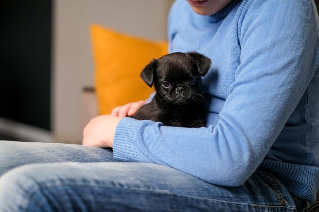 Boy playing with baby dog. Kid play with puppy at home. Little boy and griffon or brabanson dog