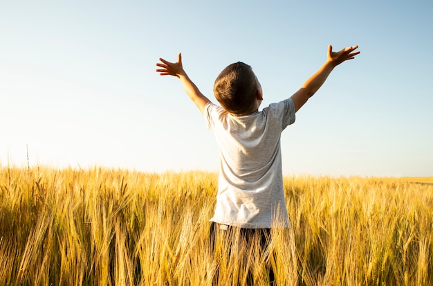 Boy raised his hands in the middle of the wheat field