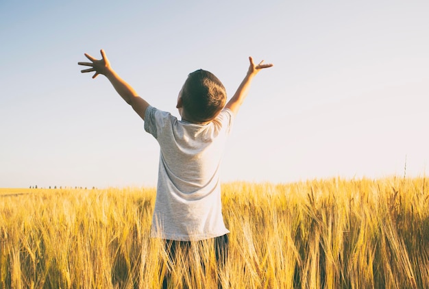 Boy raised his hands in the middle of the wheat field