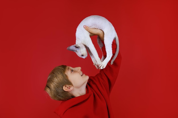 A boy on a red background holds a white cat lifting it up and looking at him