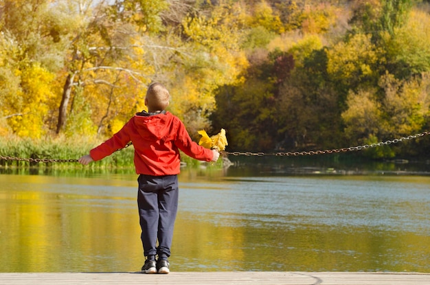 Boy in red jacket standing on the dock Leaves in hand Autumn sunny Back view