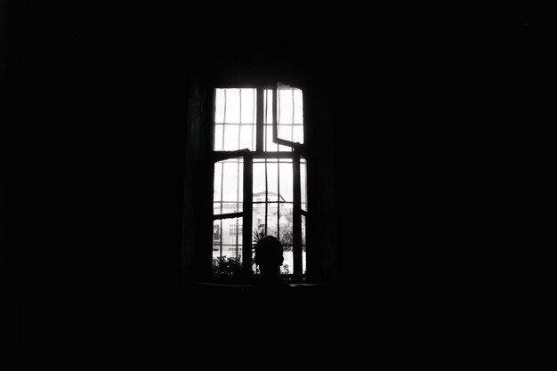 Photo boy standing at window in building