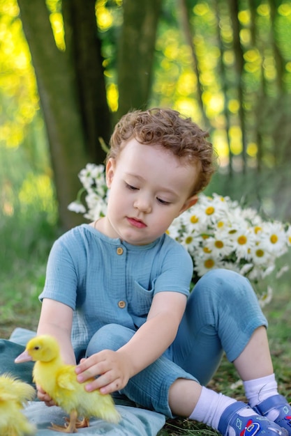 A boy on the street is playing with ducklings Photo session Happiness ChildhoodxAxA