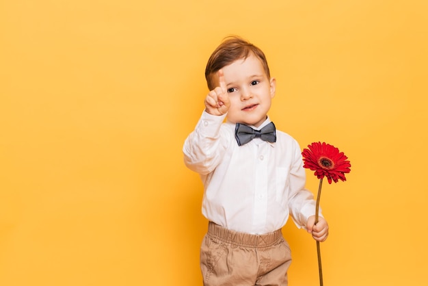 A boy in a white shirt trousers and bow tie on a yellow background holds a gerbera flower in his hands A gift for my mother grandmother