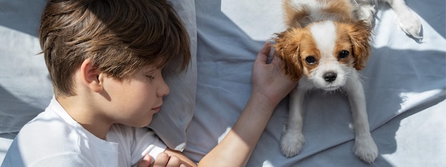 boy with a dog in an embrace lies in bed Sleep with pets cute puppy cavalier king charles spaniel