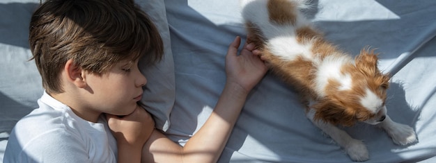 boy with a dog in an embrace lies in bed Sleep with pets cute puppy cavalier king charles spaniel