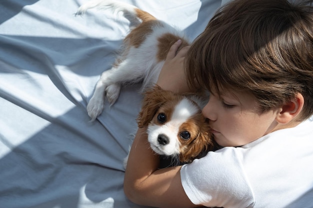 Boy with a dog  lies in bed in morning Sleep with pets cute puppy cavalier king charles spaniel