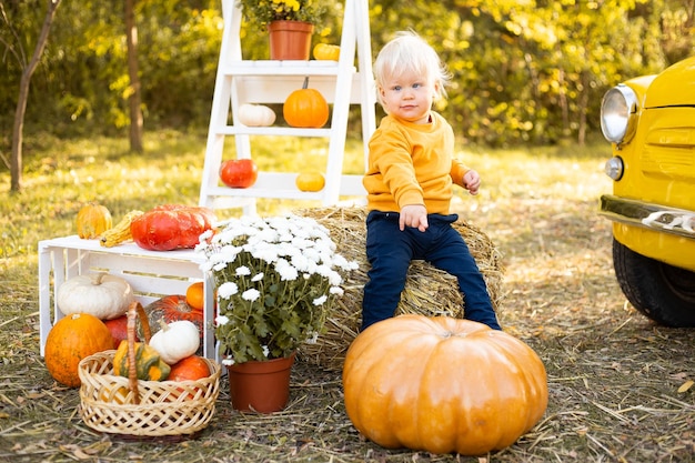 Boy with flowers and pumpkins in autumn park background with golden trees