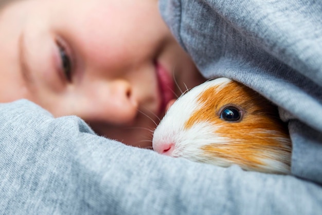 A boy with his guinea pig a boy hugs a guinea pig