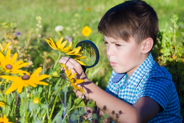 Boy with magnifying glass in summer garden