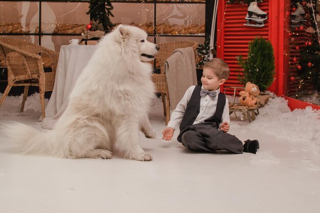 Boy with Samoyed dog. New year concept