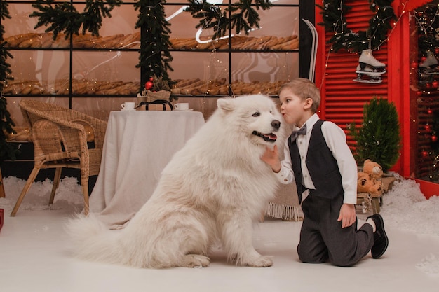 Boy with Samoyed dog. New year concept