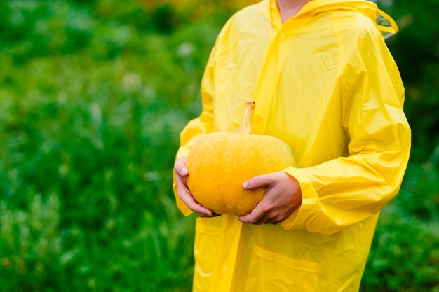 Boy in a yellow raincoat holds a yellow pumpkin Preparing for Halloween Pumpkin harvest Pumpkin in the hands of a boy against a background of greenery