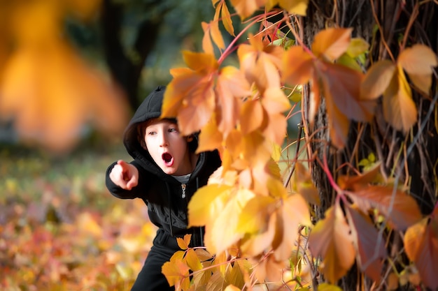 Boys peeks out from behind a tree covered with autumn leaves.