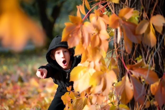 Boys peeks out from behind a tree covered with autumn leaves.