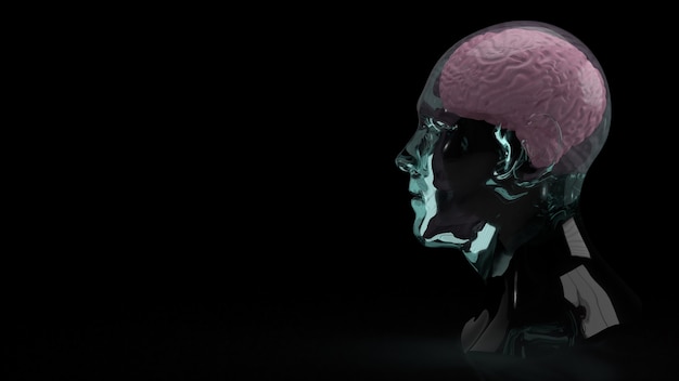 The brain inside crystal head for education or sci content 3d rendering