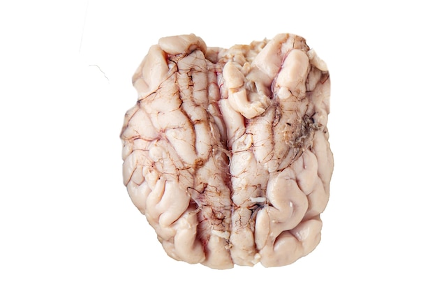 brain pork raw offal fresh meat meal food snack on the table copy space food background rustic