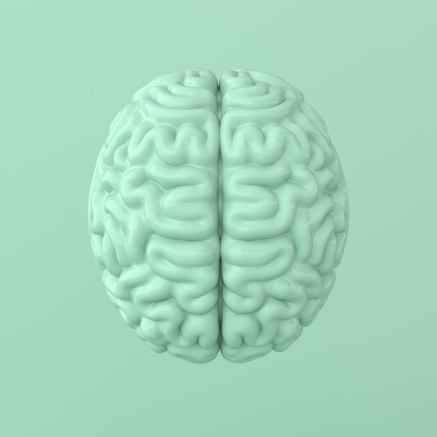 Brain rendering