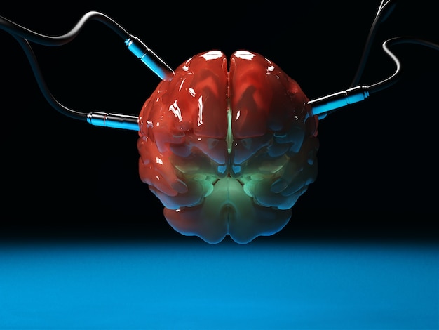 Brain with different dachiks connected to it transmitting