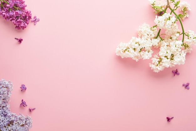 Branch of beautiful white lilac on grey background. Top view. Festive greeting card with peony for weddings, happy womens day Valentines and Mothers day.