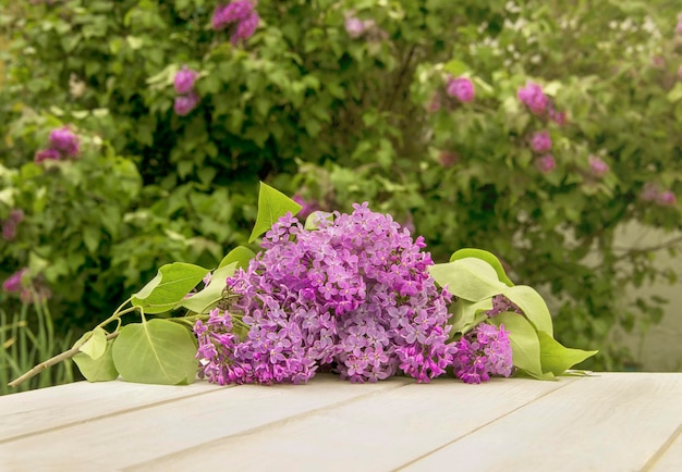 Branch of blooming lilac on white rustic wooden surface with lilac shrub on the background Space for product or text on foreground