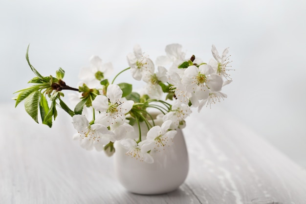 Branch blossoming cherry  in white vase on table