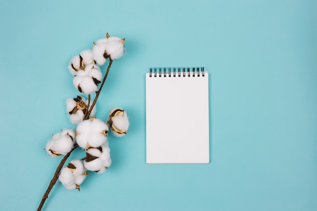 Branch of cotton near the spiral notepad on blue backdrop