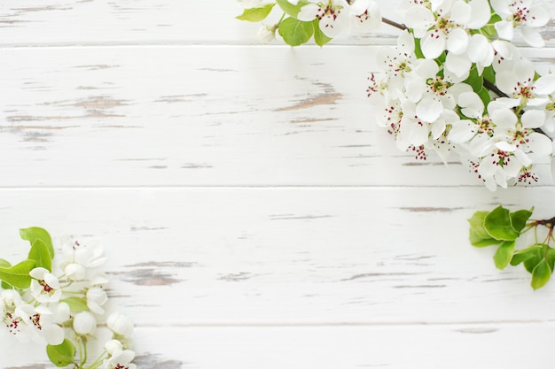 Branch of fresh blooming sakura on white wooden background with copy space