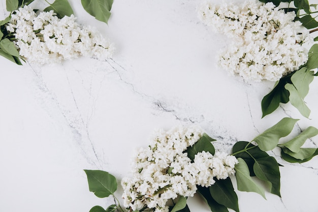 Branch of lilac on a marble background