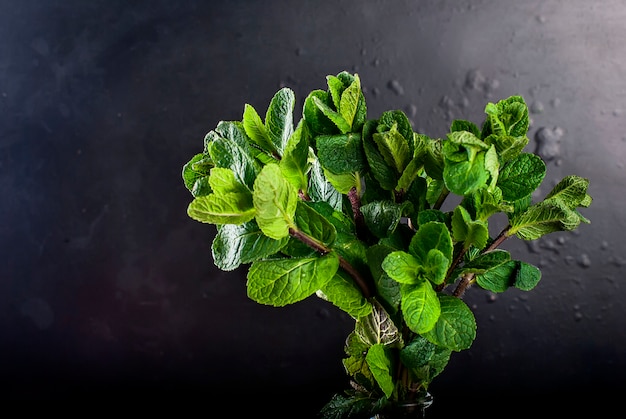 Branch mint in bottle on black background