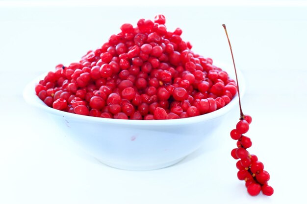 Photo branch of red ripe schisandra isolated on the white