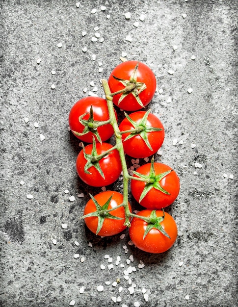 Branch of red ripe tomatoes