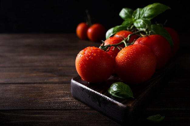 Branch of ripe natural tomatoes and basil leaves